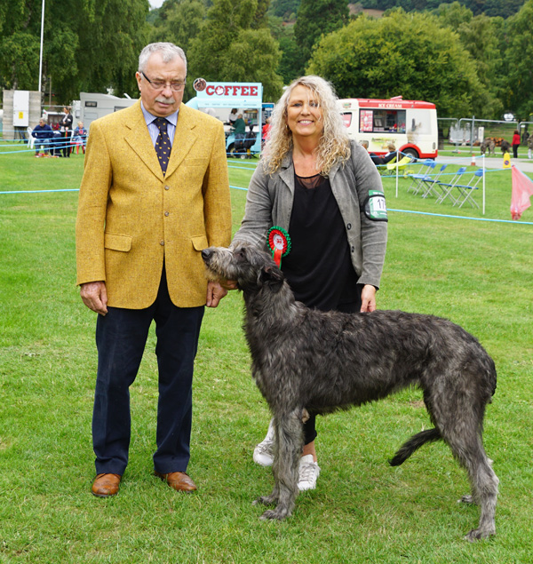 Best Puppies Welsh Kennel Club 2018